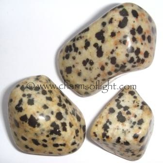 Dalmation Jasper Tumble stones